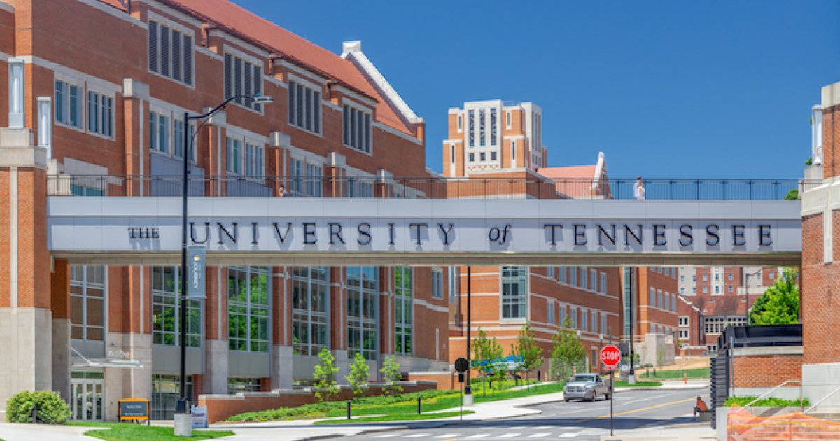 diversity-action-plans-at-the-university-of-tennessee-knoxville-leave-free-speech-and