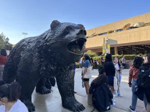 UCLA bear