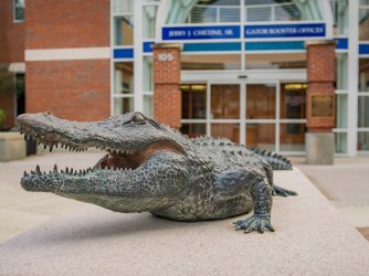 University of Florida Gator statue at Ben Hill Griffin football Stadium 