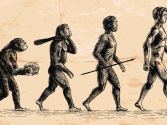Historic diagram of the evolution of homosapiens 