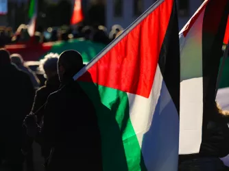 Pro-Palestinian protesters