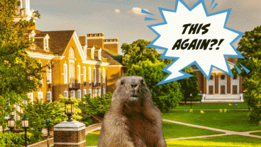 Groundhog on campus saying "This again?!"