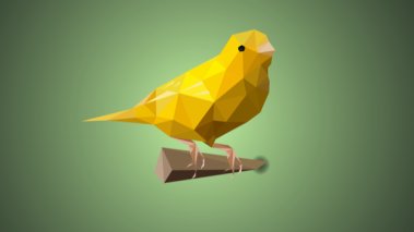 Canary illustration