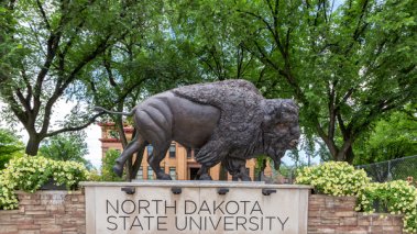 Bison statue on the campus of the North Dakota State University