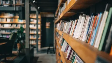 library bookshelf