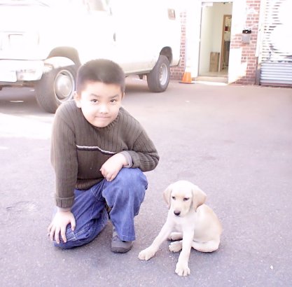 Austin Tong as a boy in New York City, with his puppy.
