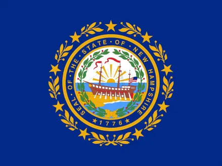 Illustration of the flag of New Hampshire state in America