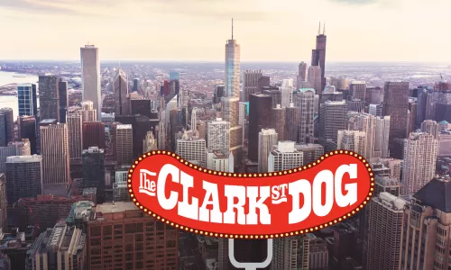 Aerial view of the city of Chicago