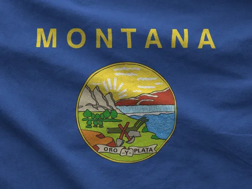 Montana state flag depicted on folded wavy fabric of old cloth close up