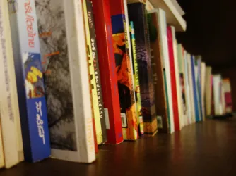 Book spines on a bookshelf